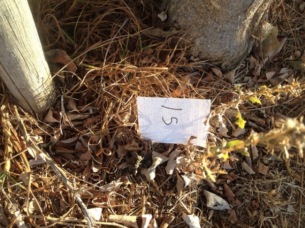 10838409935_671a3d9d83_z