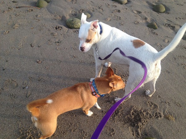 16592062364_14fc2f018f_z