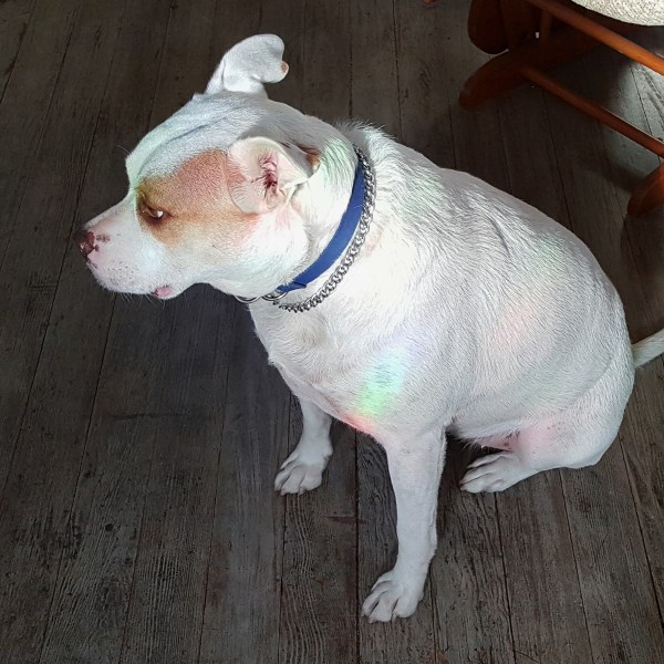 img_20151118_081121_22700305627_o