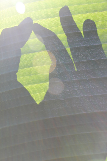 7440893636_d1fc198d85_z