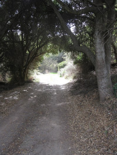 6712952985_ee73873b18_z