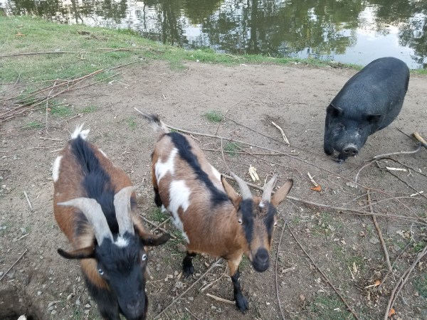 20181103_174944_resized