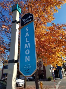 20181110_112602_resized