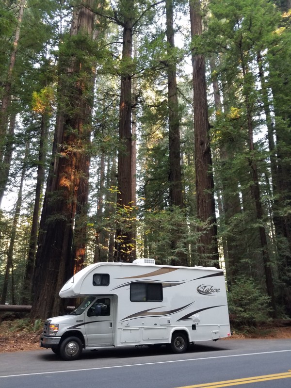 20181117_085525_resized