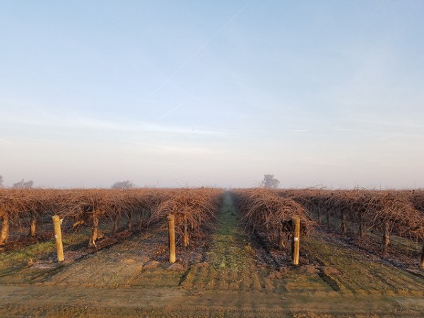 45833847084_706a238fb2_z