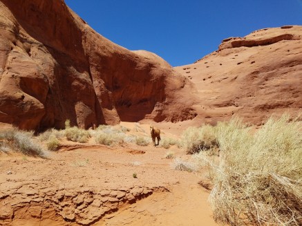 20190413_125935_resized