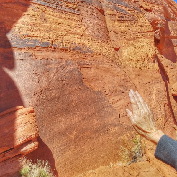 20190413_134958-01_resized