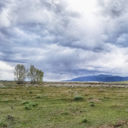 20190427_155319-01_resized