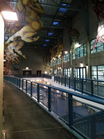 20190507_201313_resized