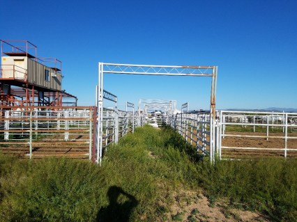 20190515_073847_resized