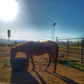 IMG_20190515_194834_666_resized