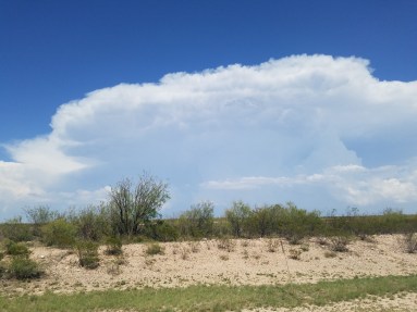 20190517_162706_resized