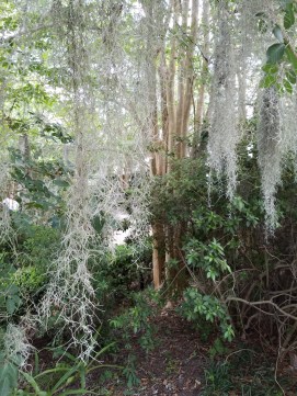 20190526_143550_resized