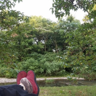 IMG_20190601_194030_804_resized