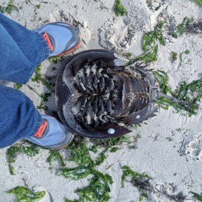 IMG_20191005_142106-01