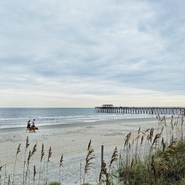 IMG_20191029_165323_265