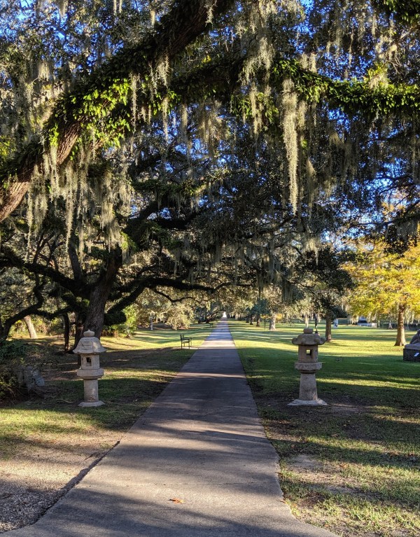 IMG_20191110_154832-01