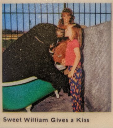 IMG_20200601_200732-02